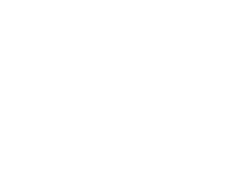 BUT VITRÉ